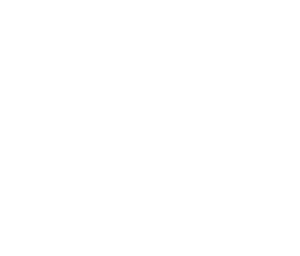 Goloseo Logo
